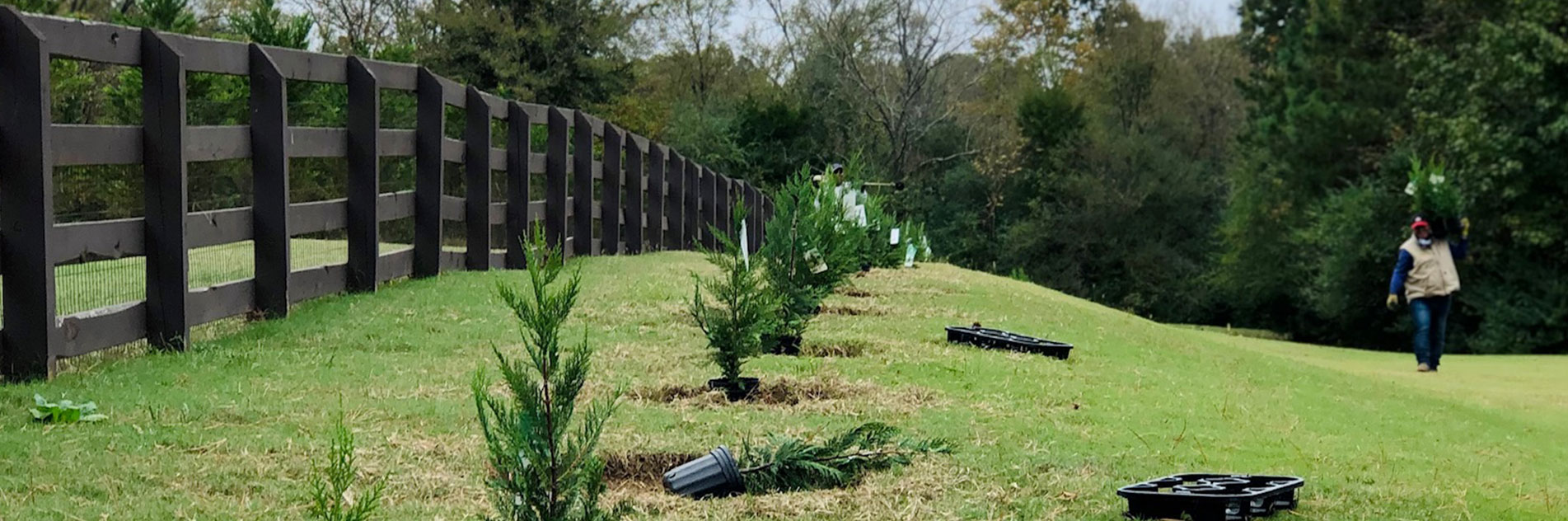 Germantown Landscaper, Landscaping Company and Lawn Care Services